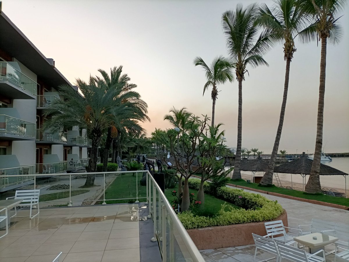 FCazals's tweet photo. Bonjour de Dakar 🇸🇳
#kebetu #Senegal #terroubi #sonatel https://t.co/r8pg32UFKD