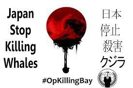 Suzanne Jones (@boudicca_fight) on Twitter photo Government of #Japan seems to have NO #shame ! Thanks to brave Japanese activists 'speaking out' & even documenting these extremely traumatic events! <a href="/Animals1st/">Animals1st</a> <a href="/OpKillingBay14/">Expect Us</a> #OpKillingBay #Whale #Dolphins <a href="/anons4cetaceans/">Anons for Cetaceans</a> <a href="/CetaceanSociety/">Amer Cetacean Soc</a> <a href="/ihavemyshield/">þaul∞CETACEANS✩S̈imon🐾🏴☠️ 🐳🐬📢🌈Tibet</a> <a href="/OrcaOnIceSkates/">save cetaceans</a> Government of #Japan seems to have NO #shame ! Thanks to brave Japanese activists 'speaking out' & even documenting these extremely traumatic events! <a href="/Animals1st/">Animals1st</a> <a href="/OpKillingBay14/">Expect Us</a> #OpKillingBay #Whale #Dolphins <a href="/anons4cetaceans/">Anons for Cetaceans</a> <a href="/CetaceanSociety/">Amer Cetacean Soc</a> <a href="/ihavemyshield/">þaul∞CETACEANS✩S̈imon🐾🏴☠️ 🐳🐬📢🌈Tibet</a> <a href="/OrcaOnIceSkates/">save cetaceans</a>