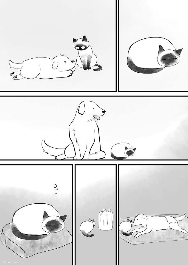 ねこは覚えているだろうか 