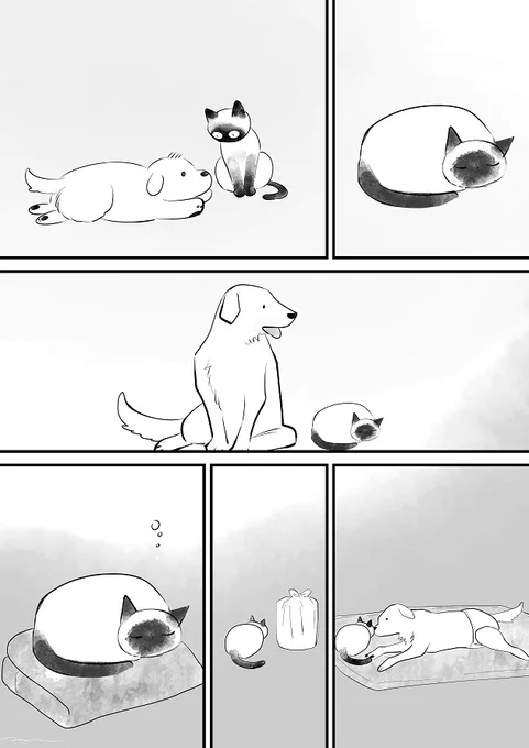 ねこは覚えているだろうか 