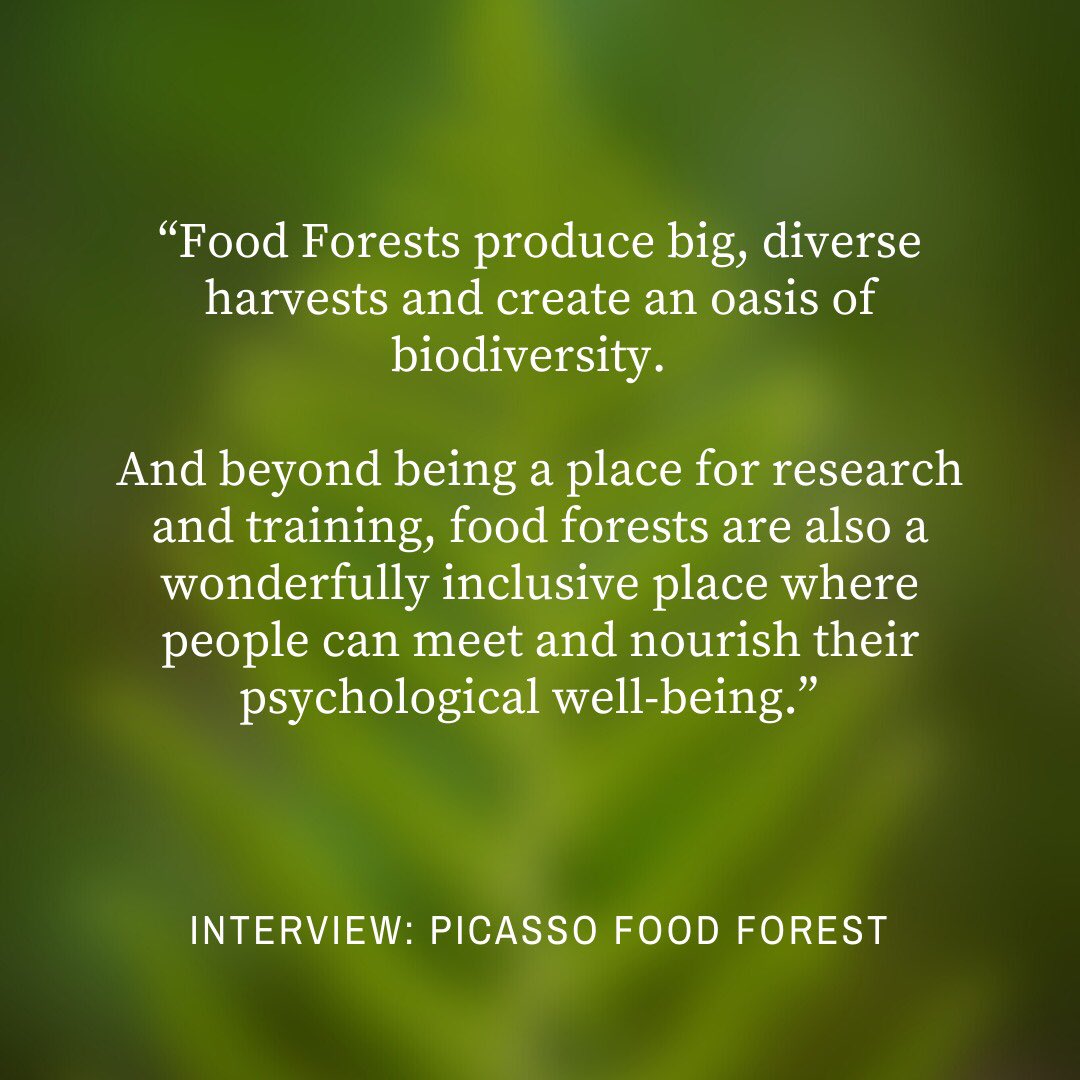 Food Forests Global tweet media