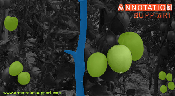 AnnotationSup's tweet image. Want to get Highly accurate and massively practical #polygonannotation and training data sets? Contact:  annotationsupport.com/polygon-annota…
#AutonomousVehicles #computervision #annotationsupport