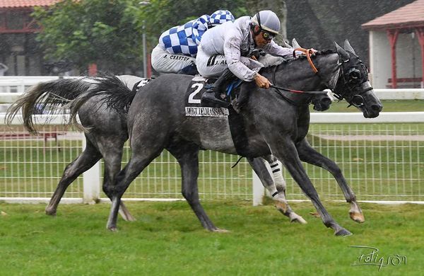 ELLIE DU PAON - Prix H.H. Sheikh Al Maktoum Hippodrome Mt-de-Marsan sous la selle de Julien Augé. La fille de Dahess et de Jade du Paon signe sa 2eme victoire cette année sous les couleurs de S.Raffaello et l'Ecurie #DamiendeWatrigant qui réalise le jumelé gagnant(photo R. Polin)