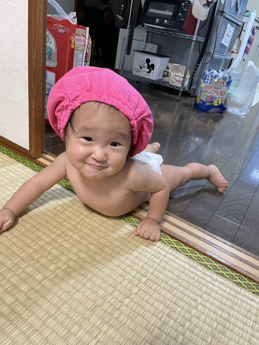 Misaki_big's tweet photo. こんなに可愛くて、へんちくりんで、
わがままで、甘えん坊があと2人欲しい♡ https://t.co/XMuvTh1u6O