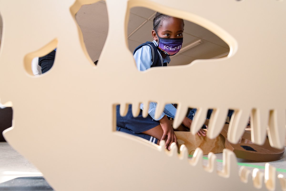 ROARing success! 🦖 Play Africa’s new "Dinosaur Dig" exhibition promotes palaeontology &amp; STEM learning in Qhemegha, Eastern Cape, South Africa

First exhibition of its kind 🔥

Inspiring scientists of tomorrow through play 🦕

Want to see the future of museums? 

A thread 🧵