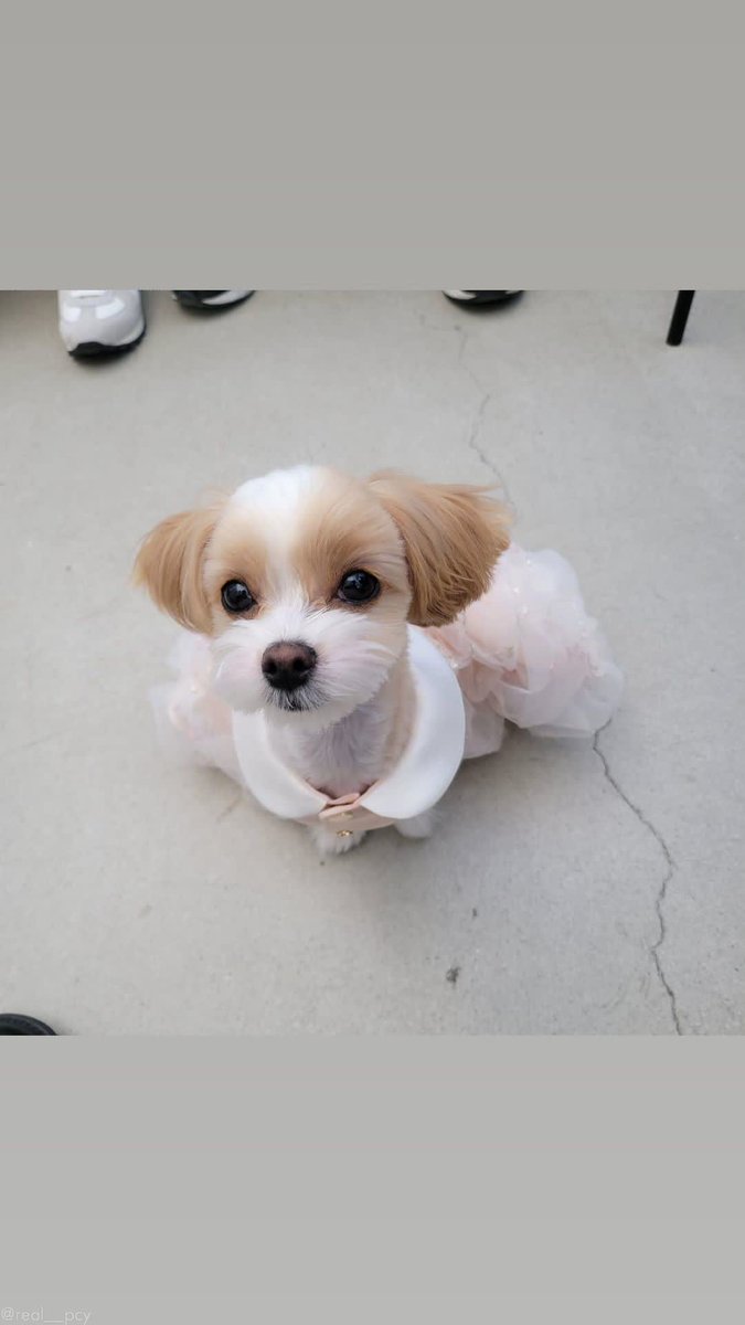 INPCYLOOK's tweet photo. CHANYEOL ACTUALIZO junto a Zzar 😭❤ despues de mucho tiempo.
Esto se siente como gloria.
#CHANYEOL @weareoneEXO #EXO https://t.co/veBmWyzhvp