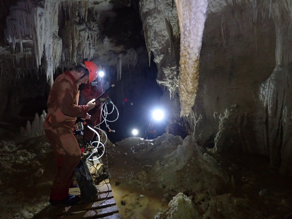 Caves are a fragile ecosystem - and I am really proud of the NZSS cavers who helped restore some man made damage in one of ours today 😍🦗🪳🕷️🐚 
#caves #conservation