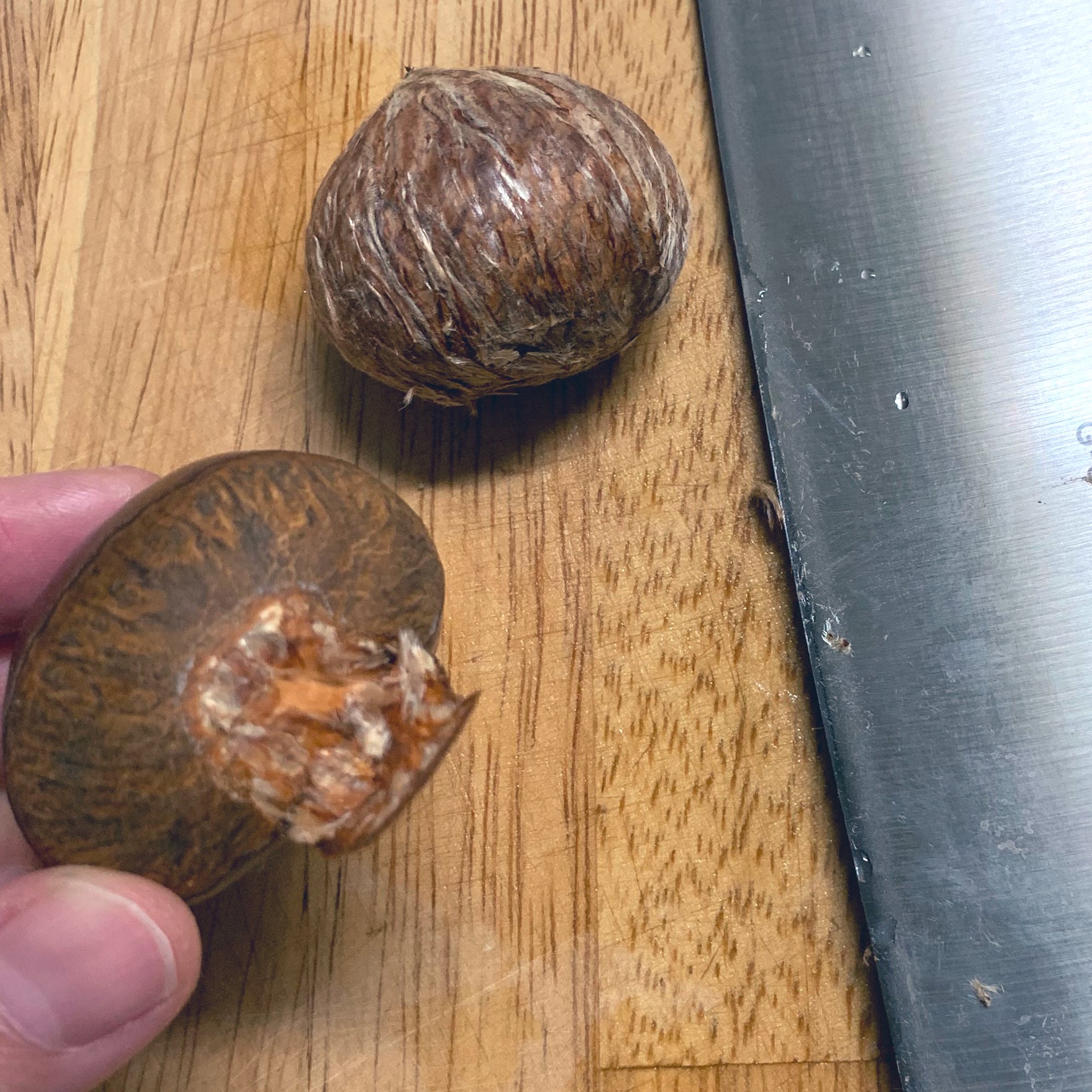 なかしましほ 栗の皮の剥き方 共通 熱湯につけて熱がとれるまでふやかす 栗はすべらないよう平らな面を下にまな板に置く 刃が厚めの重みのある包丁の方が私は使いやすいです 渋皮 煮 底の鬼皮を少しだけ包丁で切り落とす 渋皮まで切らないよう