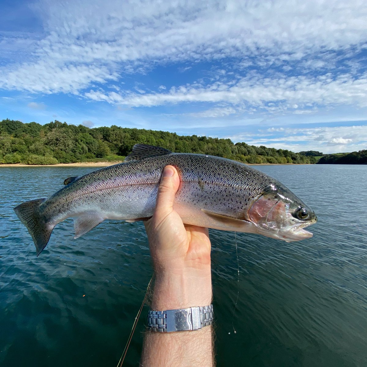 North West Flyfishers Club tweet media