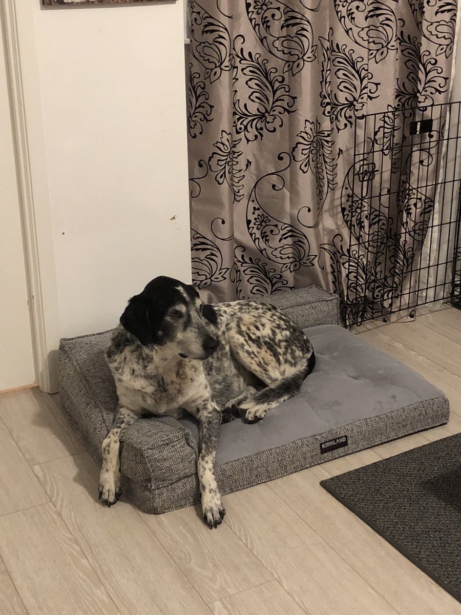 Victoria tweet media