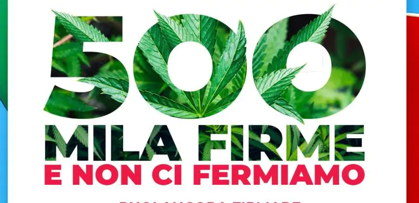 MaryNewsWeb's tweet photo. Non hai ancora firmato? Puoi fare la differenza! 
''...occorre raccogliere un ulteriore 15% in più di firme per essere certi di poter consegnare il referendum in Cassazione il 30 settembre" #ReferendumCannabis #SPID #Cannabis #LegalizeIt https://t.co/1cY9QIE7F8