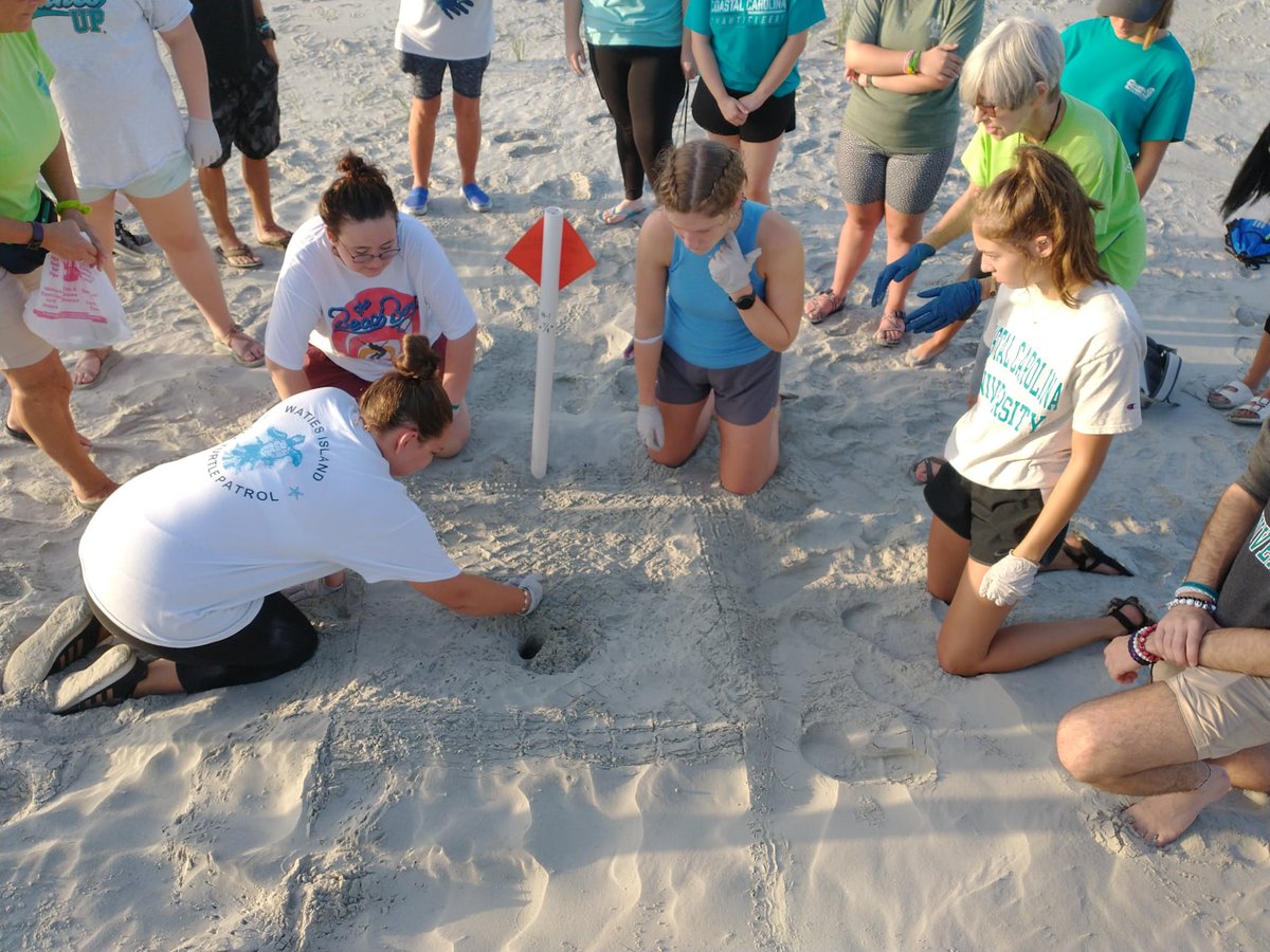 CCU Admissions (@ccu_admissions) on Twitter photo Interested in marine science? Gupta College of Science may be for you! Learn more here: coastal.edu/marine/
📸: <a href="/ccuseaturtle/">CCU Sea Turtle Club</a> Interested in marine science? Gupta College of Science may be for you! Learn more here: coastal.edu/marine/
📸: <a href="/ccuseaturtle/">CCU Sea Turtle Club</a>