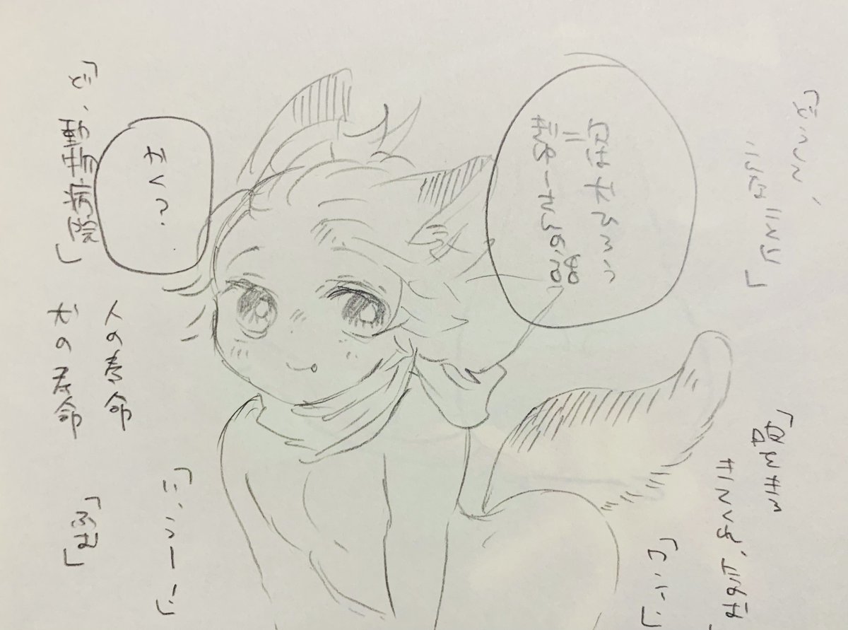 犬か、犬なのか 
