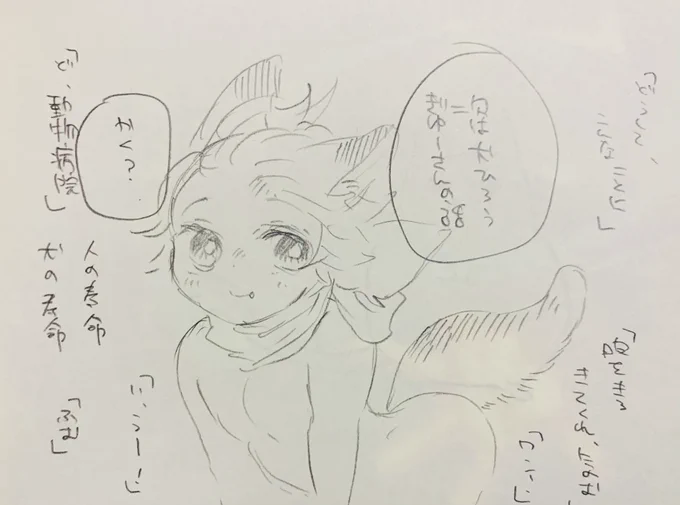 犬か、犬なのか 