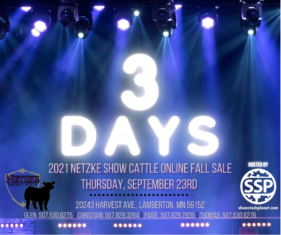 NetzkeCattle's tweet photo. 👊🏼THREE. MORE. DAYS.👊🏼

Today’s featured lots come from 3 of our proven donors that put cattle on our Online Fall Sale year after year.

Lot 11| Monopoly x Paris (Hairy Bear)

Lot 12| Fu Man Chu x Pearl (Firewater)

Lot 16| Fu Man Chu x 170 (Wizard)

https://t.co/WLCxxxNWh9 https://t.co/kNAAAIpk5a