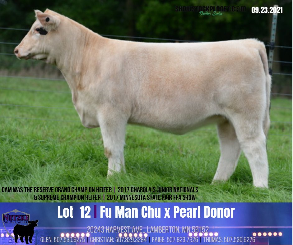 NetzkeCattle's tweet photo. 👊🏼THREE. MORE. DAYS.👊🏼

Today’s featured lots come from 3 of our proven donors that put cattle on our Online Fall Sale year after year.

Lot 11| Monopoly x Paris (Hairy Bear)

Lot 12| Fu Man Chu x Pearl (Firewater)

Lot 16| Fu Man Chu x 170 (Wizard)

https://t.co/WLCxxxNWh9 https://t.co/kNAAAIpk5a