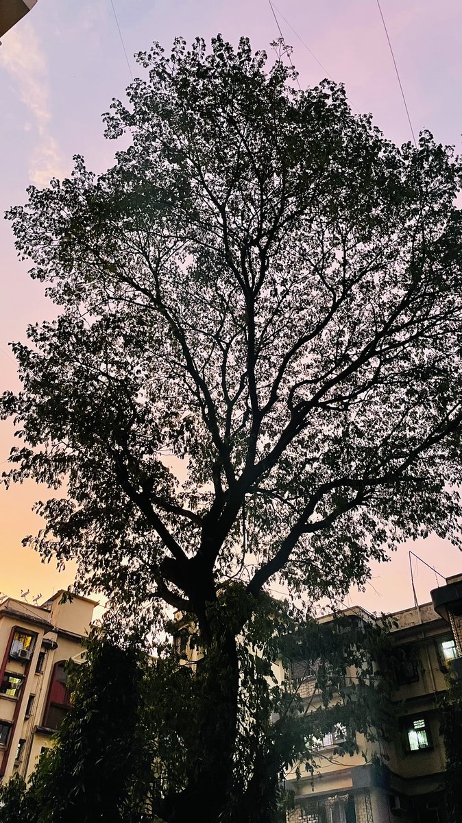 iIakobos's tweet photo. #SunsetTwitter #AutumnFeel https://t.co/8Dv9ECbuvC