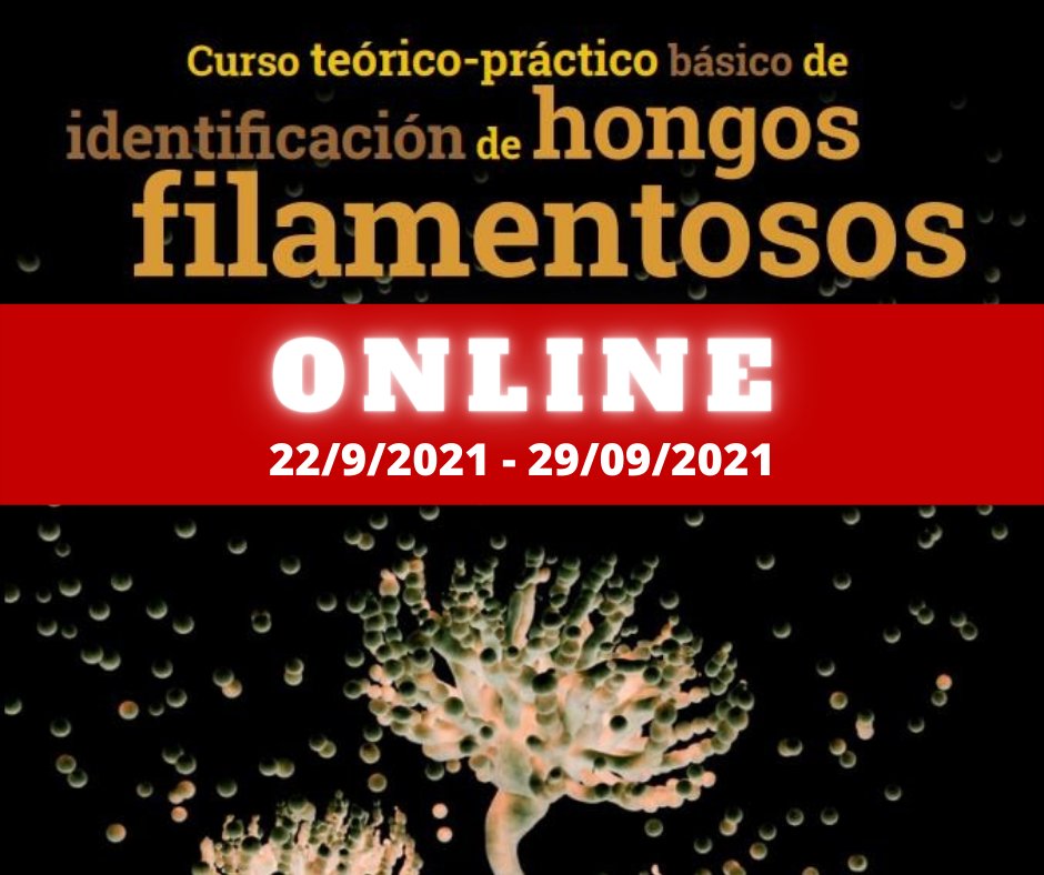 👉👉1 CURSO ONLINE DE IDENTIFICACIÓN DE HONGOS FILAMENTOSOS (1ª EDICIÓN). 22/9/2021- 29/9/2021, aemicol.com/curso-online-i… #curso #online #hongosfilamentosos #AEM