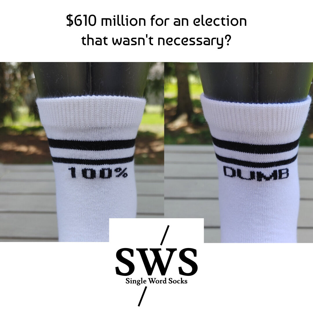purple_moose's tweet photo. Post how you feel throughout today and tonight with your 2 words from our 36 word Single Word Socks collection and you  can win the socks. Remember to mention us and use #SingleWordSocks so we know. 💜 Time to choose --> https://t.co/JzbYTJggUv #Elxn44 #ElectionDay #Vote https://t.co/kyWmBTMmCb