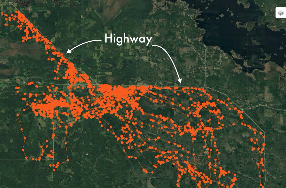 Wolf W1T is the only wolf we have studied who doesn’t want to cross the highway—ever! Pretty fascinating to look at the GPS-locations over the past 90 days! (1/4)