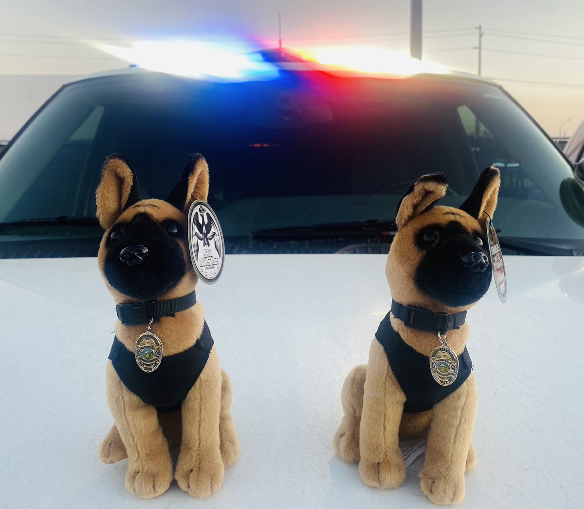 As my followers know, I love meeting new friends. Due to this, I have decided to do a giveaway of one of my very own Kodi plush pups. To be entered into the give away, you have to be following me, and like and retweet this posting. Let’s make some new friends and have some fun.