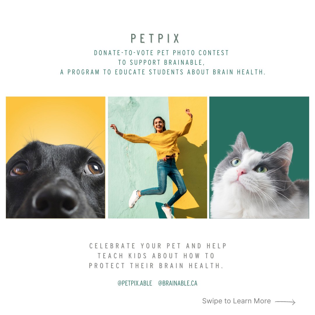 BrainSuite tweet media