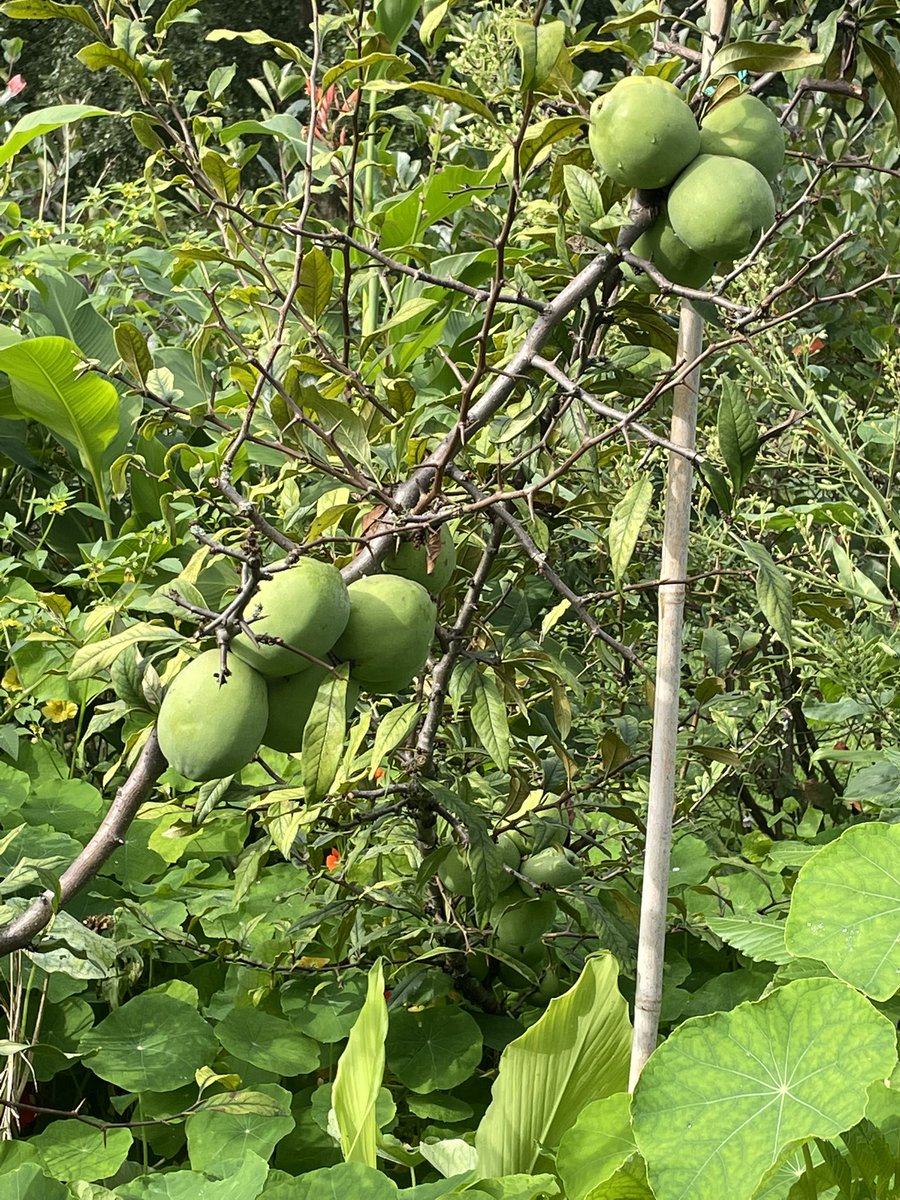 Мориц tweet media