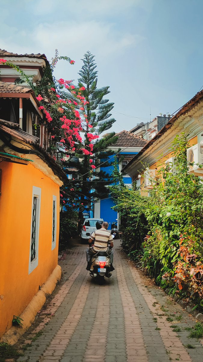 Capturologist_'s tweet photo. @realmeIndia #shotonrealme #GoToExplore https://t.co/tpEwbJ5Jwm