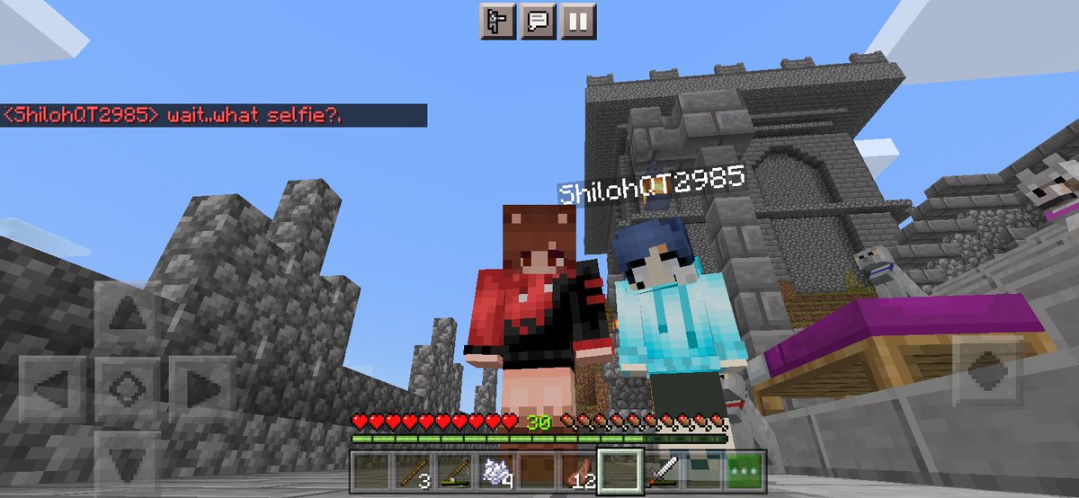 axelit0l's tweet photo. another friend of mine joined the smp. she didn't die in my hands, you can all trust me. 

#Minecraft #MinecraftServer #multiplayer #YouTube https://t.co/qT2fNAHwfz