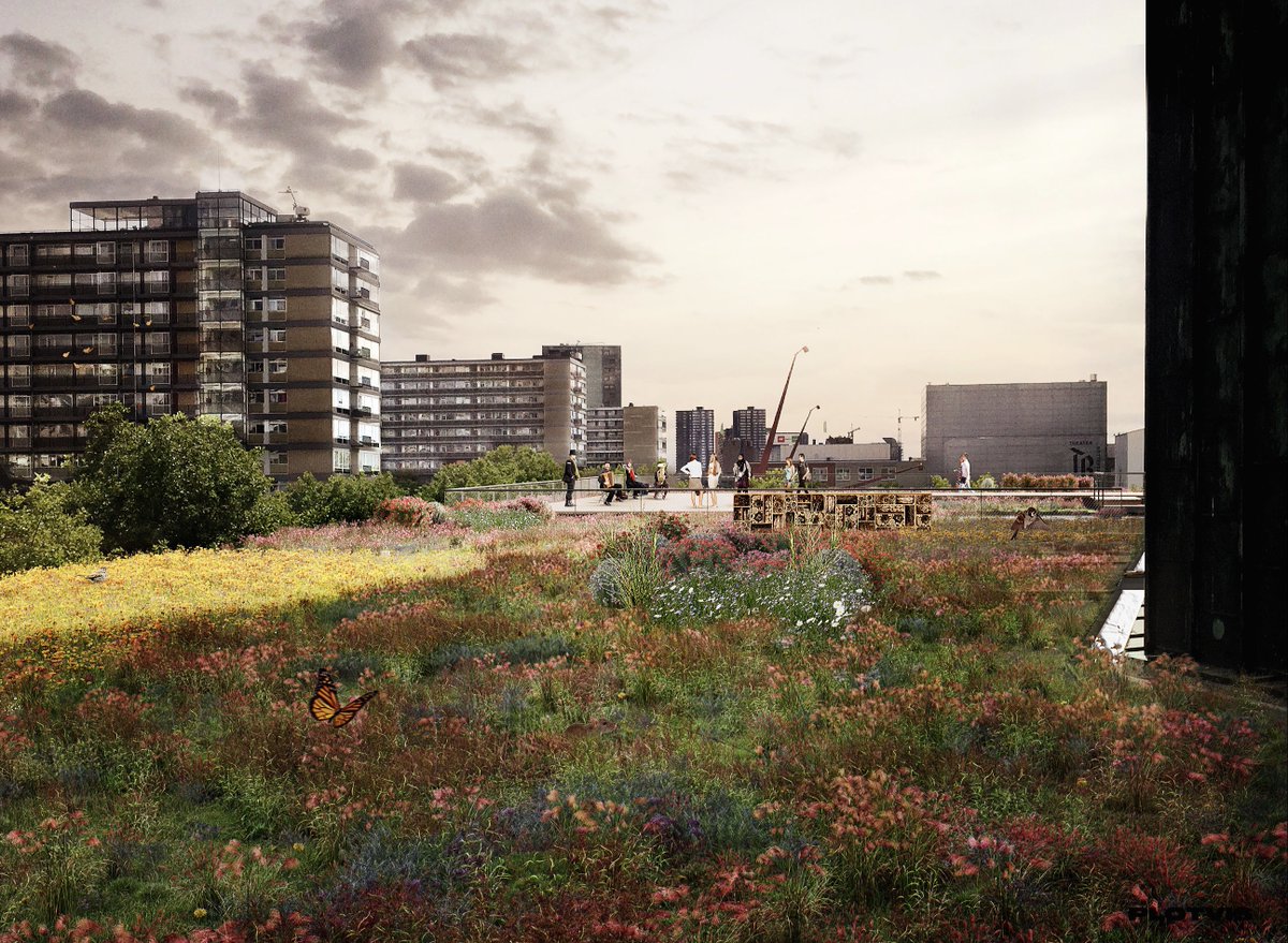 rotterdam's tweet photo. Concert- en congresgebouw @deDoelen krijgt een groen en biodivers dak van 2.581m². Het dak vangt regenwater op bij hevige buien en draagt bij aan verkoeling in de zomer.

Meer info 👉https://t.co/OhlaVtBugl

@RWeerwoord @duurzaam010 https://t.co/1uWyGlmWAZ