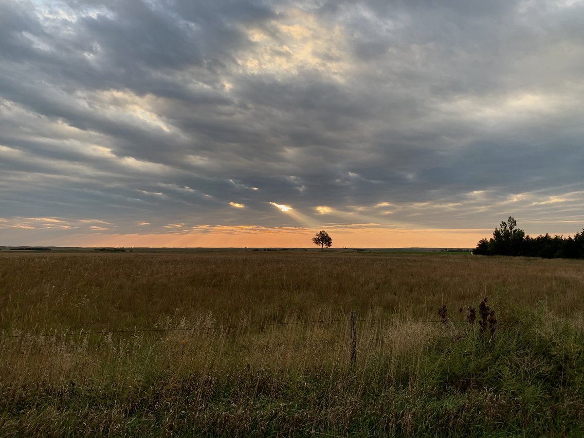 First long-sleeve morning.