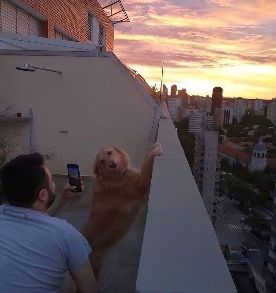 İdeal arkadaşlık..