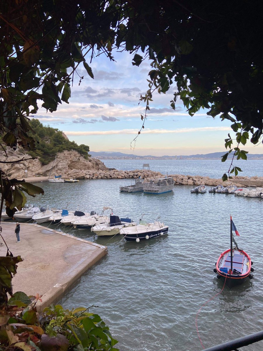 BOBEE Spot tweet media