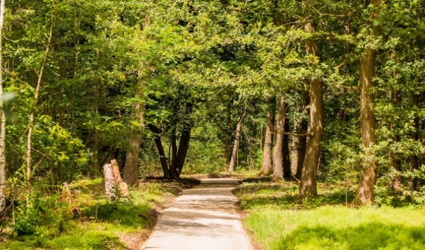 Stiltewandeling op Landgoed Mookerheide -  brugnijmegen.nl/nieuws/algemee…