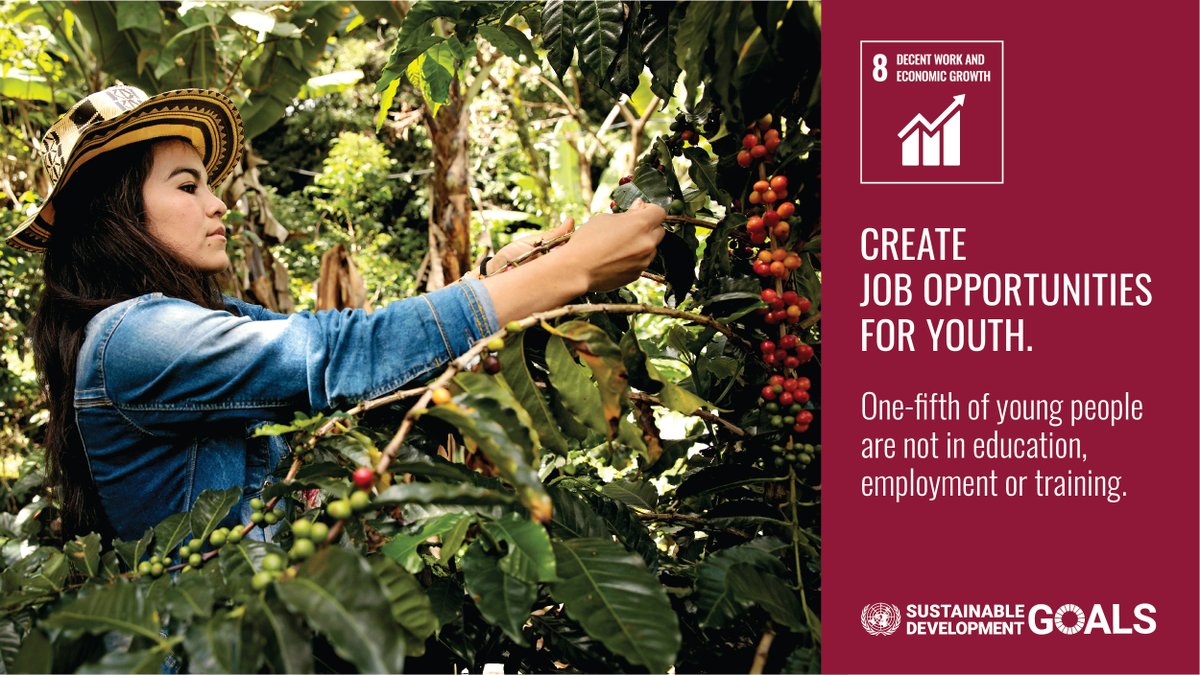 #SMEs are important for achieving #sdg8: decent work and economic growth. PUM was evaluated on behalf of <a href="/NetherlandsMoFA/">Ministry of Foreign Affairs - The Netherlands</a>. The evaluation report shows an Ugandan example of how youth employment was created: pum.nl/en/what-we-do/… #evaluation #sdg8 #youthemployment