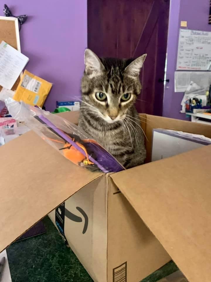 I gots more prezents! I luff my frens. Hashtag