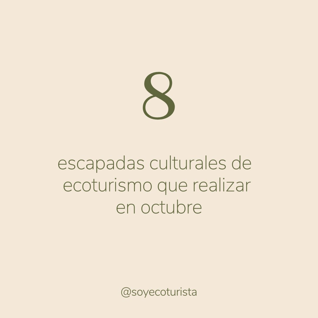 ¡Volvemos con más escapadas!

Esta vez, proponiéndote 8 opciones culturales de ecoturismo que practicar en octubre! Todas ellas incluyen paquete con actividades + alojamiento + comidas. #SoyEcoturista

👇🏻 Incluimos detalles en el hilo