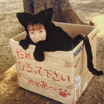 画像 / Picture
