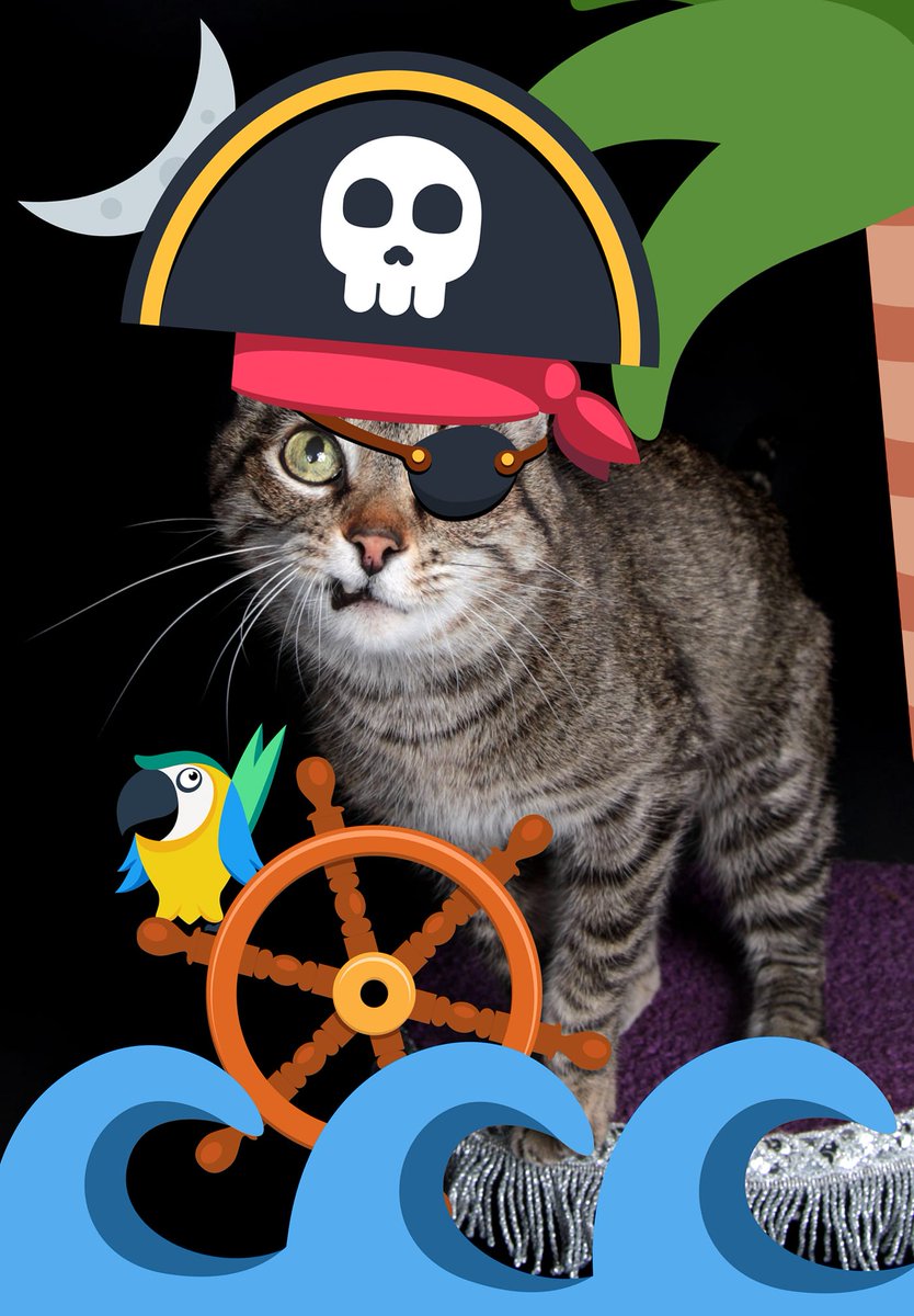 Here is me as pirate. YARD! hashtag