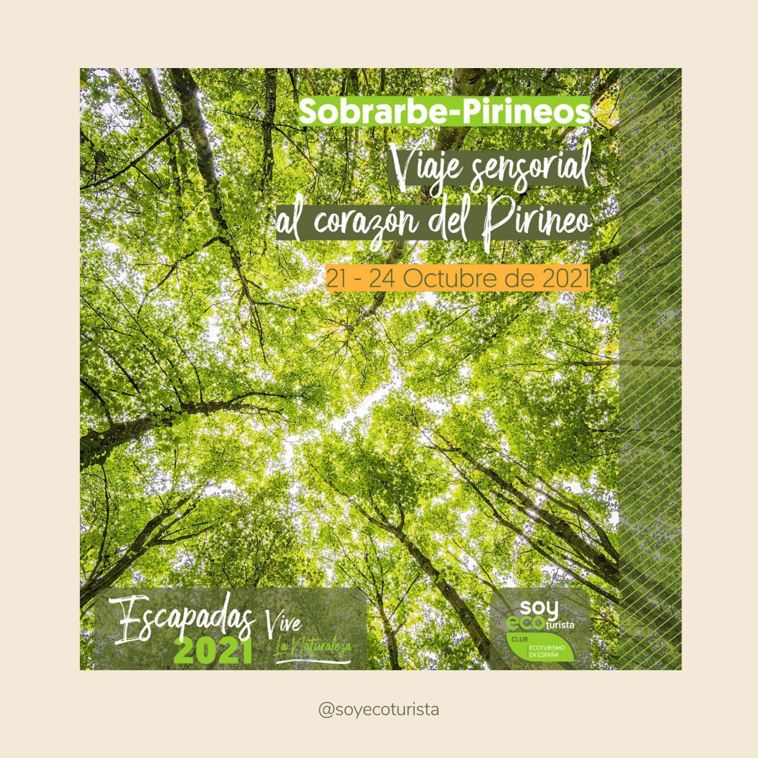📍 Del 21 al 24 de octubre, viaja al corazón del Geoparque de Sobrarbe-Pirineos

Una desconexión del mundo para dejarse atrapar por la paz forestal gracias a los baños de bosque. Culminando la experiencia con un baño caliente en una tina de madera bajo las estrellas.