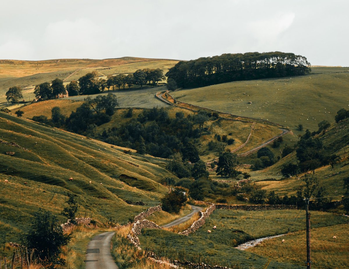 General Tire UK tweet media