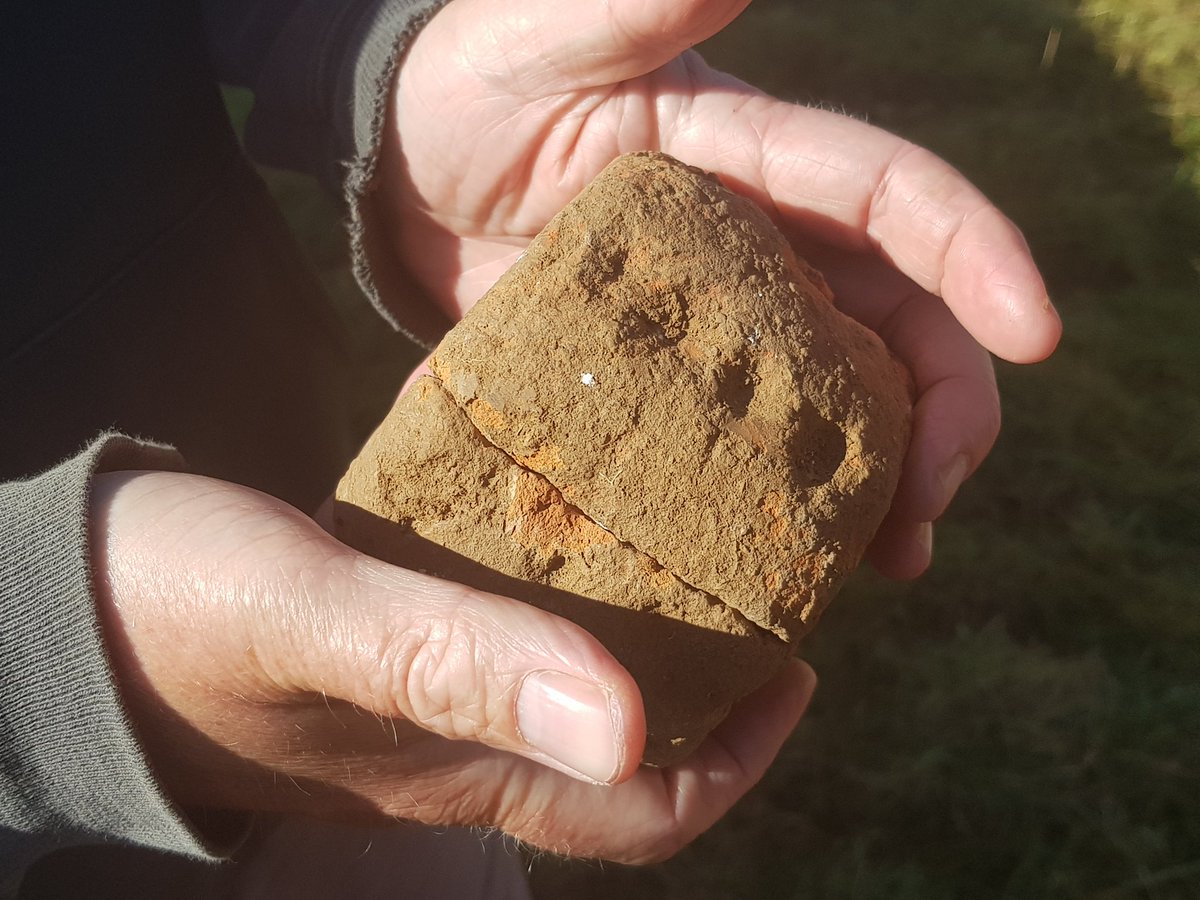 A little something for #LoomweightMonday (if such a thing were ever to exist):

A complete (albeit in 3 parts) baked clay Later Bronze Age loomweight

Decorated with thumb-impressed indentations around the outer face 😍

Fresh from #Durotriges21 

Early #FindsFriday