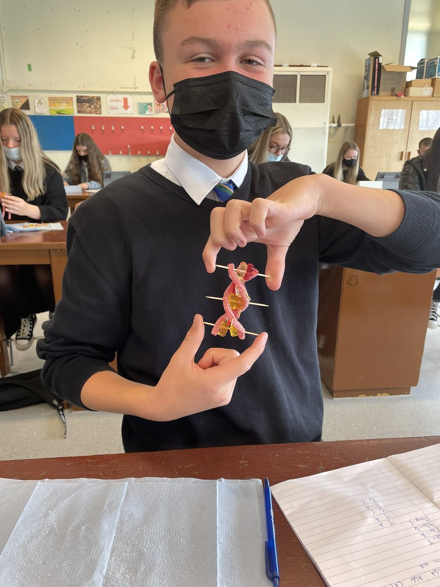 missbrownsci's tweet image. Excellent sweetie DNA strands from 3C today. Consolidating our knowledge of complementary base pairs along the way. Look at that double helix 😍🧬! @KnightswoodSec @KssScience