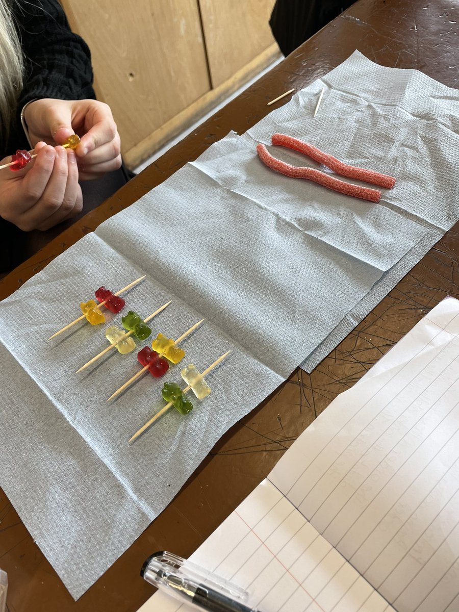 missbrownsci's tweet image. Excellent sweetie DNA strands from 3C today. Consolidating our knowledge of complementary base pairs along the way. Look at that double helix 😍🧬! @KnightswoodSec @KssScience