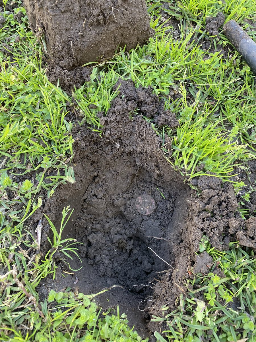 MetaldetectZA's tweet photo. Bought a new house.  This from my back yard.  The wife was not so pleased about all the dig marks. 🤪 https://t.co/1KP3BDaWhh