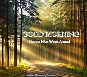HCN_Ltd's tweet photo. #MondayMotivation https://t.co/hXxlat02HM