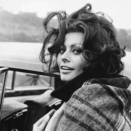 Happy birthday Sophia Loren 