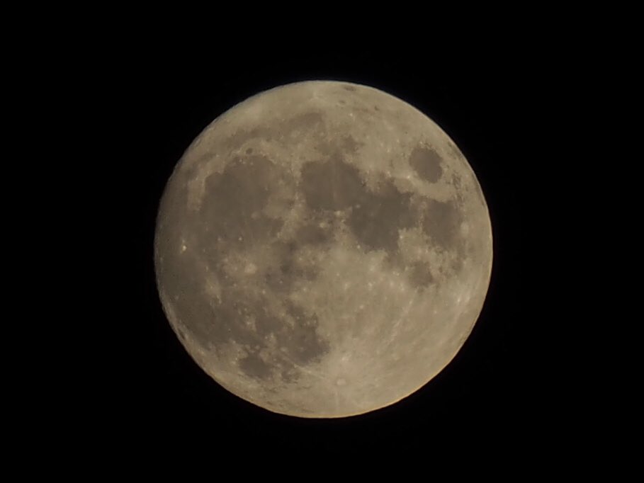 0929_td's tweet photo. 1日早いですが中秋の名月🌕 https://t.co/QqlCF7DmS1