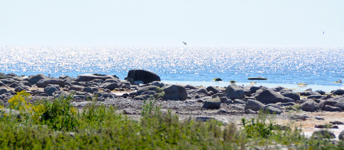 Idag presenterade finansministern budgetförslaget för 2022 där friluftslivets stärkts med ytterligare 50 mnkr! 
Beskedet fick vi precis för en vecka sedan av miljöministern. Rätt satsning – anser vi.
svensktfriluftsliv.se/nyheter/fordub…