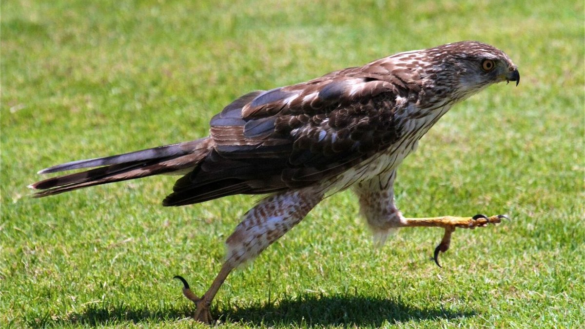 No one ever taught me how to use my ischial tuberosity properly - and that’s not all. Find out more in the latest Takumi X blog 

#coaching #Leadership #listening #questions #takumix 

takumix.org/no-one-ever-ta…